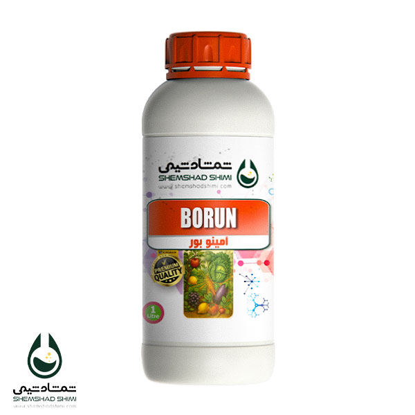 BORUN
